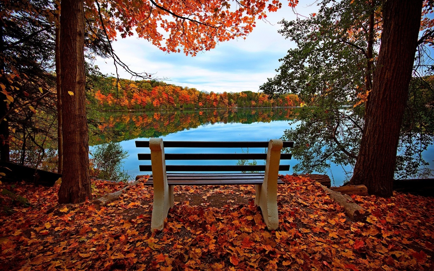 Вид на осеннее озеро обои