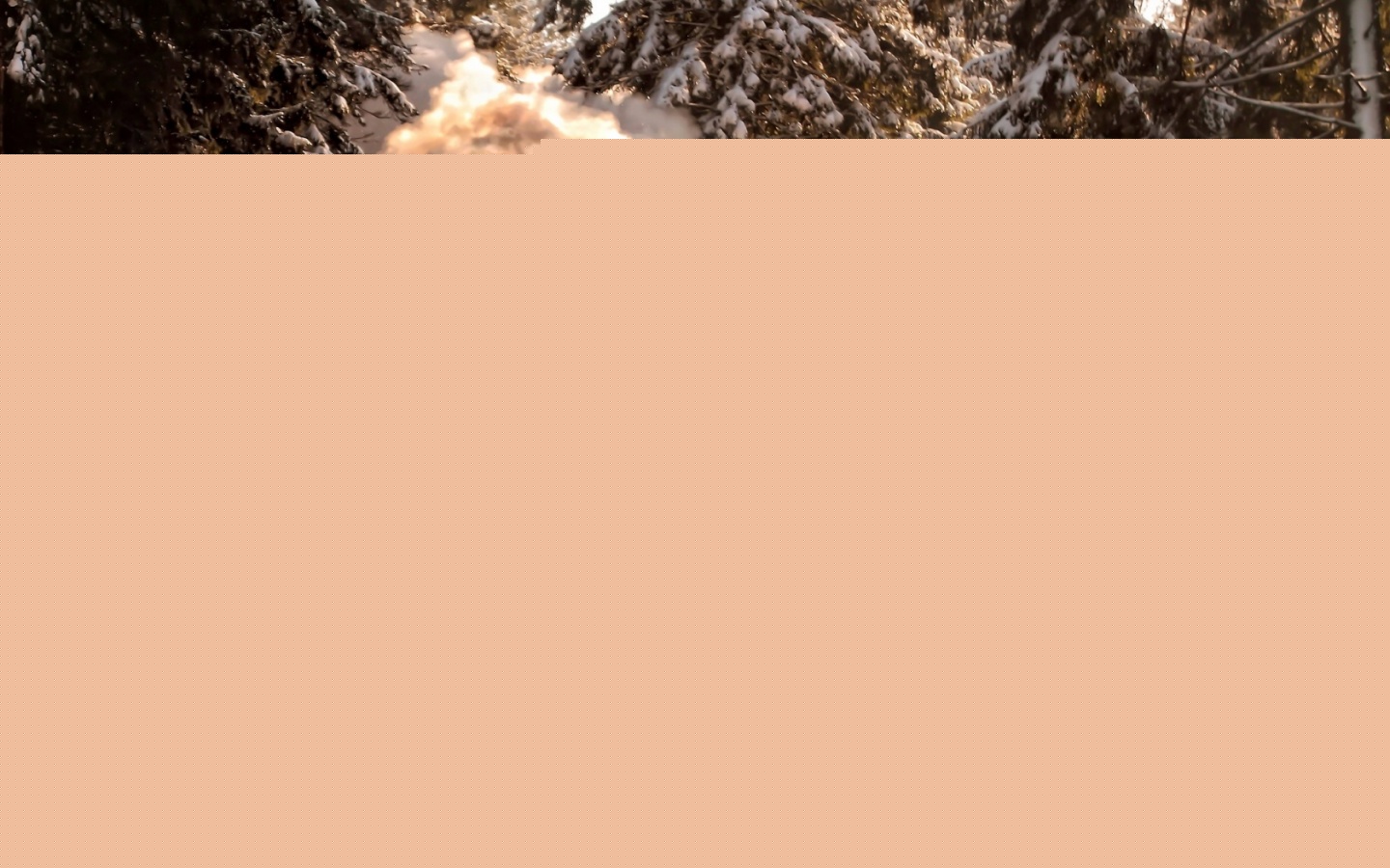 Паровоз в димнем лесу обои