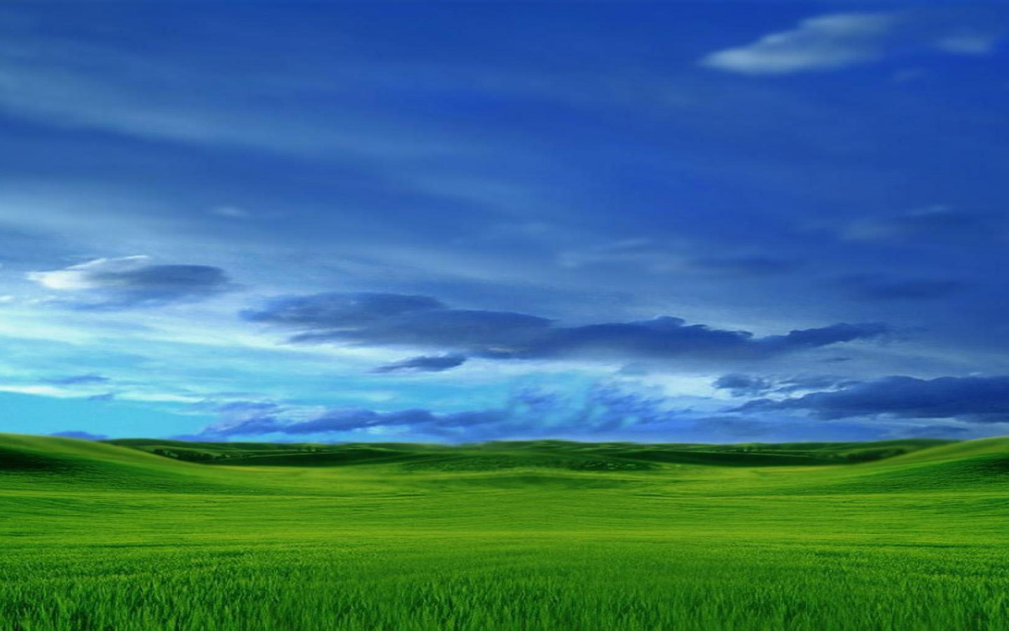 Зеленый луг обои