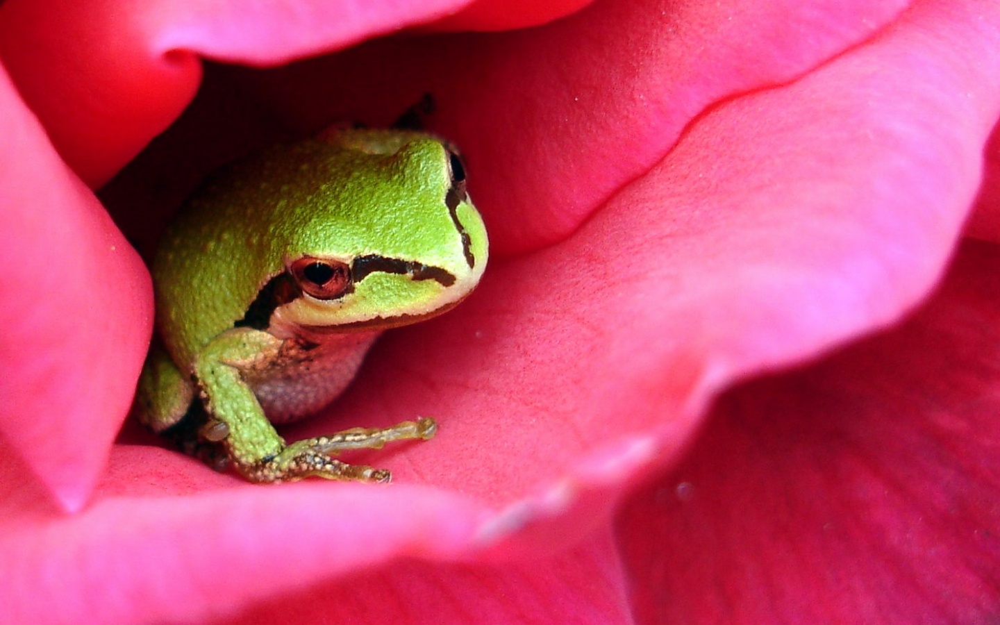 Куда это ты смотришь? обои