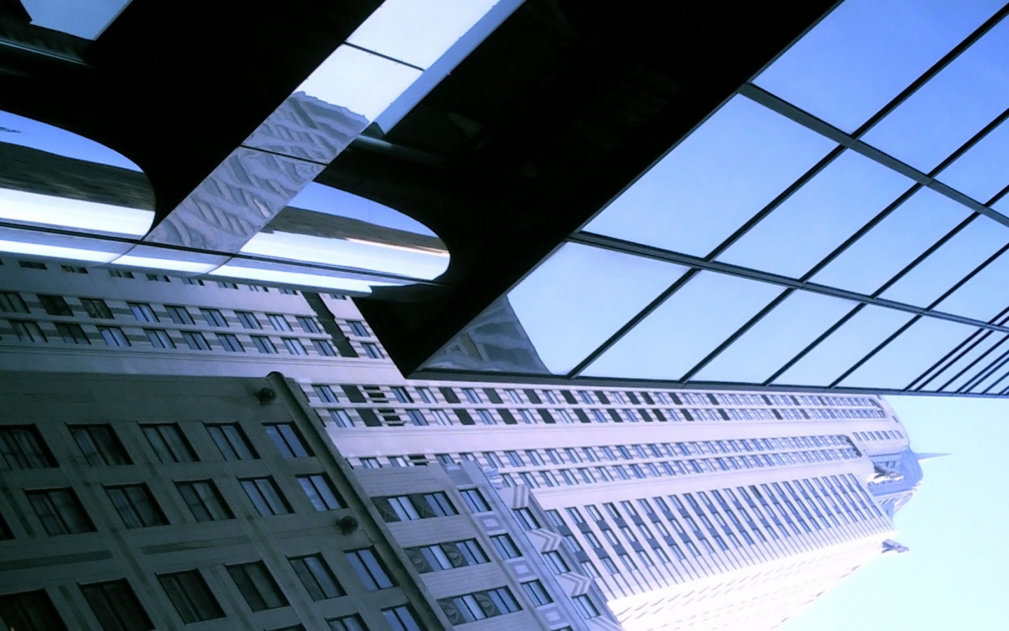 Взгляд вверх обои