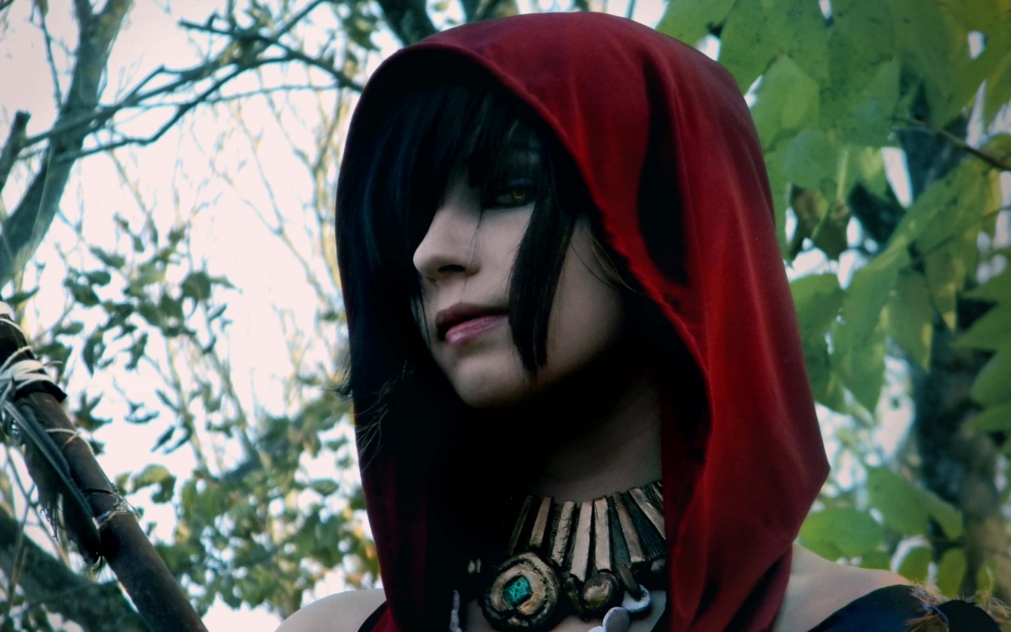 Косплей Морриган обои