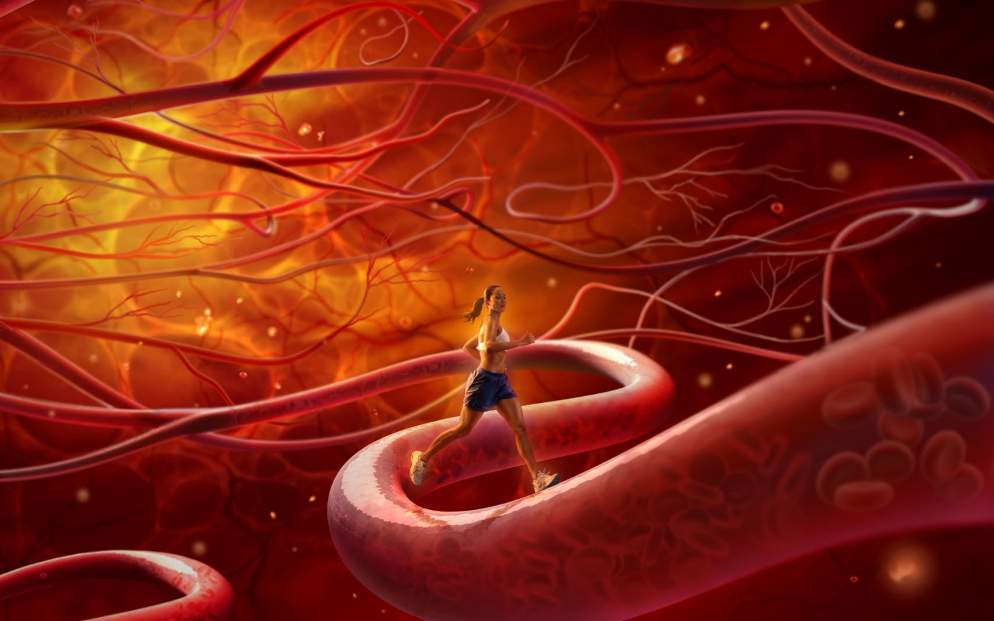 Бег крови обои