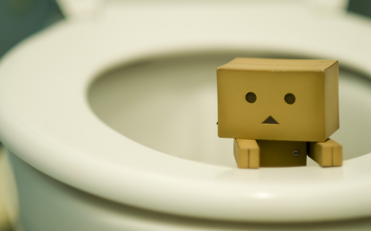 Danbo в унитазе обои