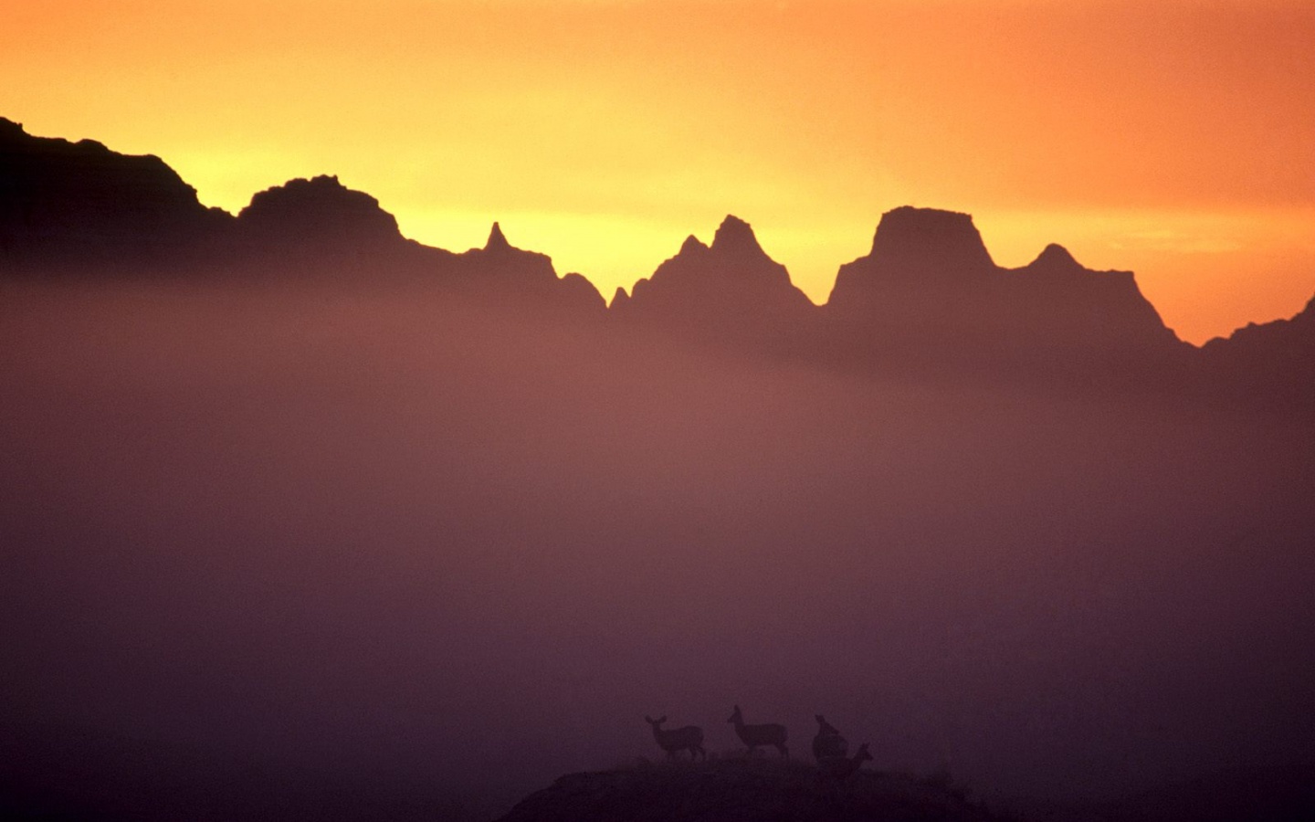 Вечер в национальном парке обои