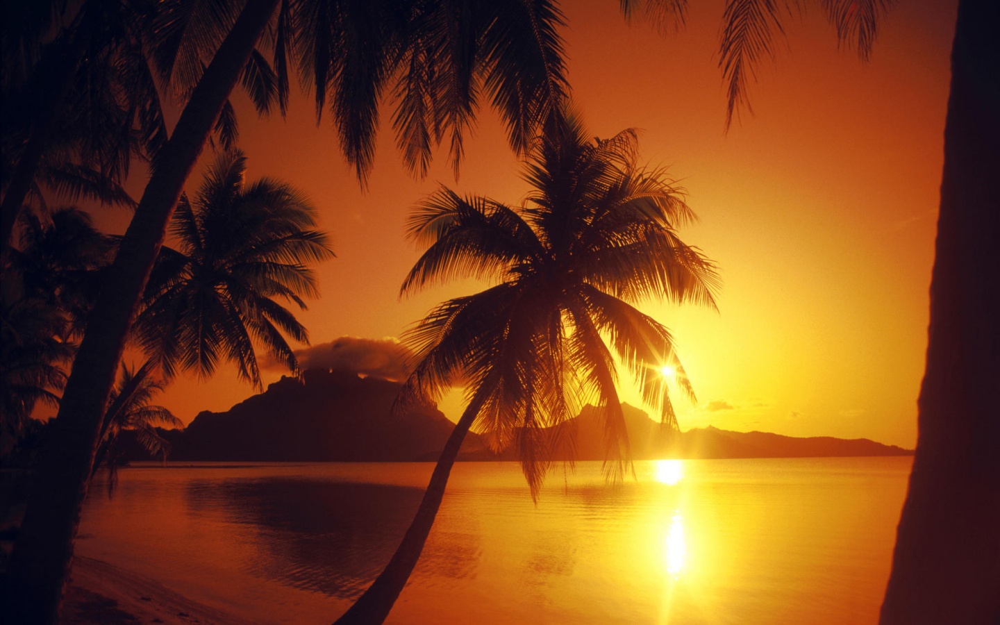 Закат в раю обои