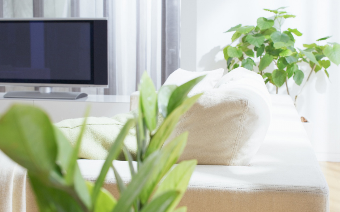 Белая комната обои