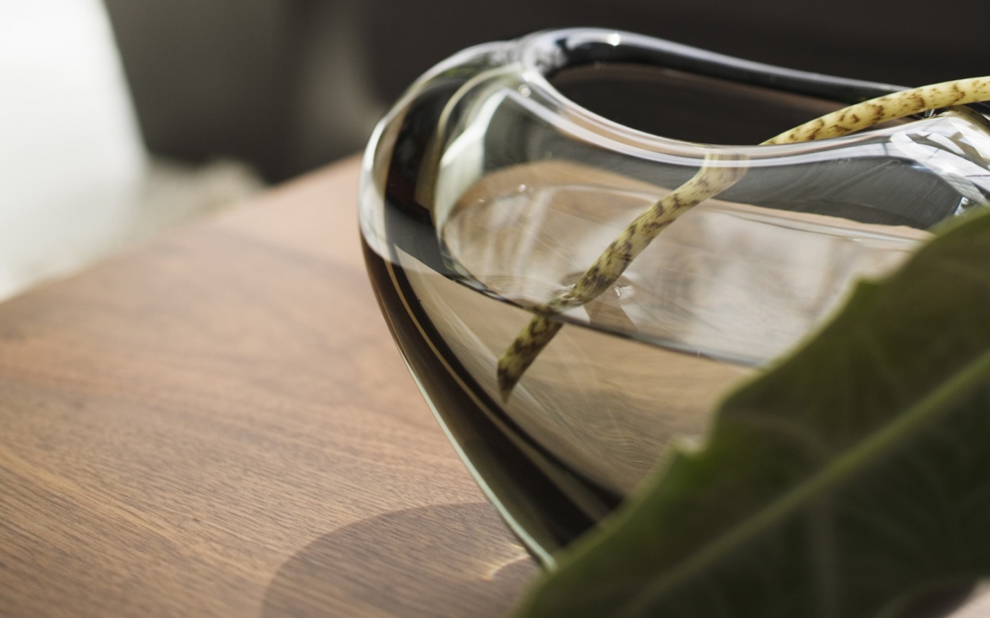 Ваза с листом обои