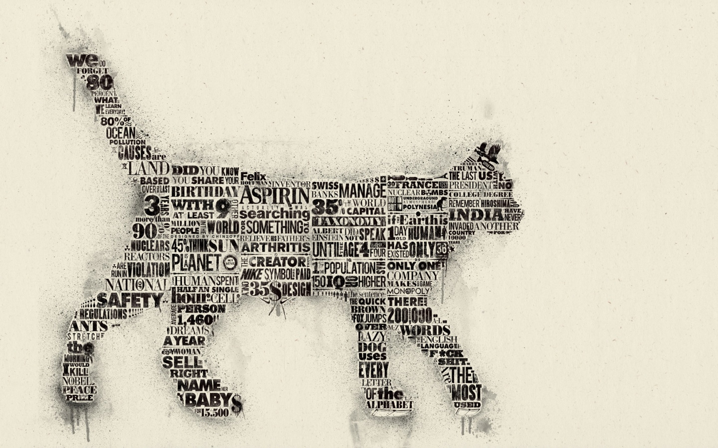 Кот - газета обои