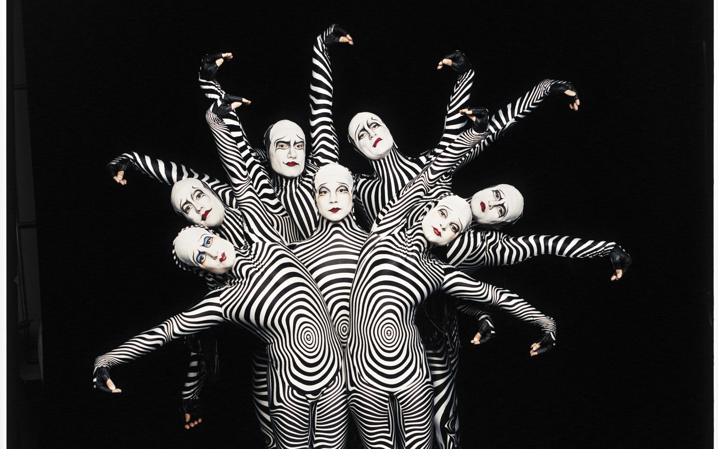 Зеброиды (актеры цирка дю солей) обои