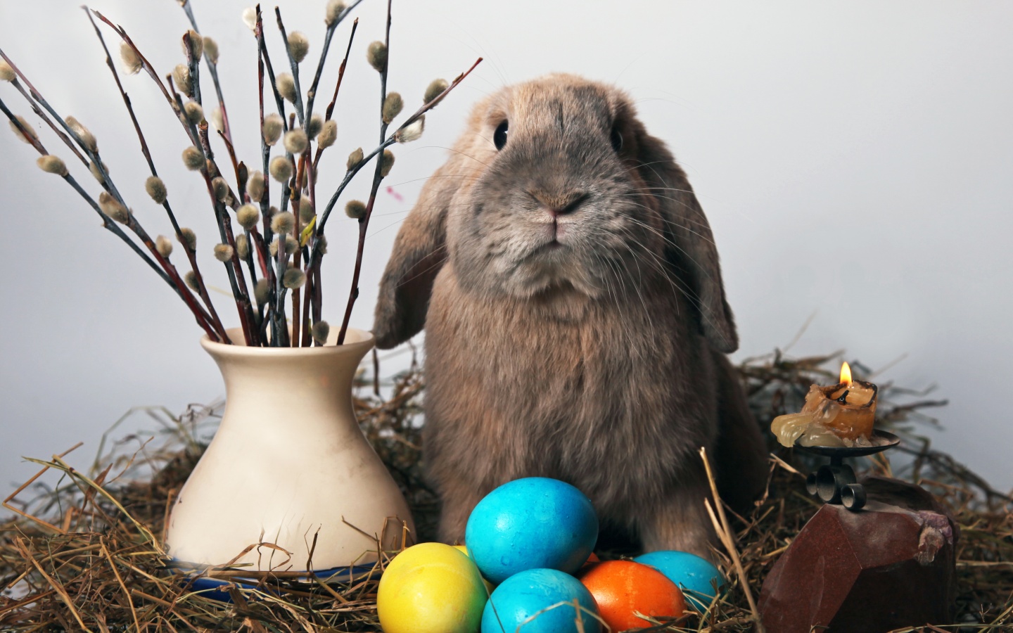 Пасхальный кролик обои