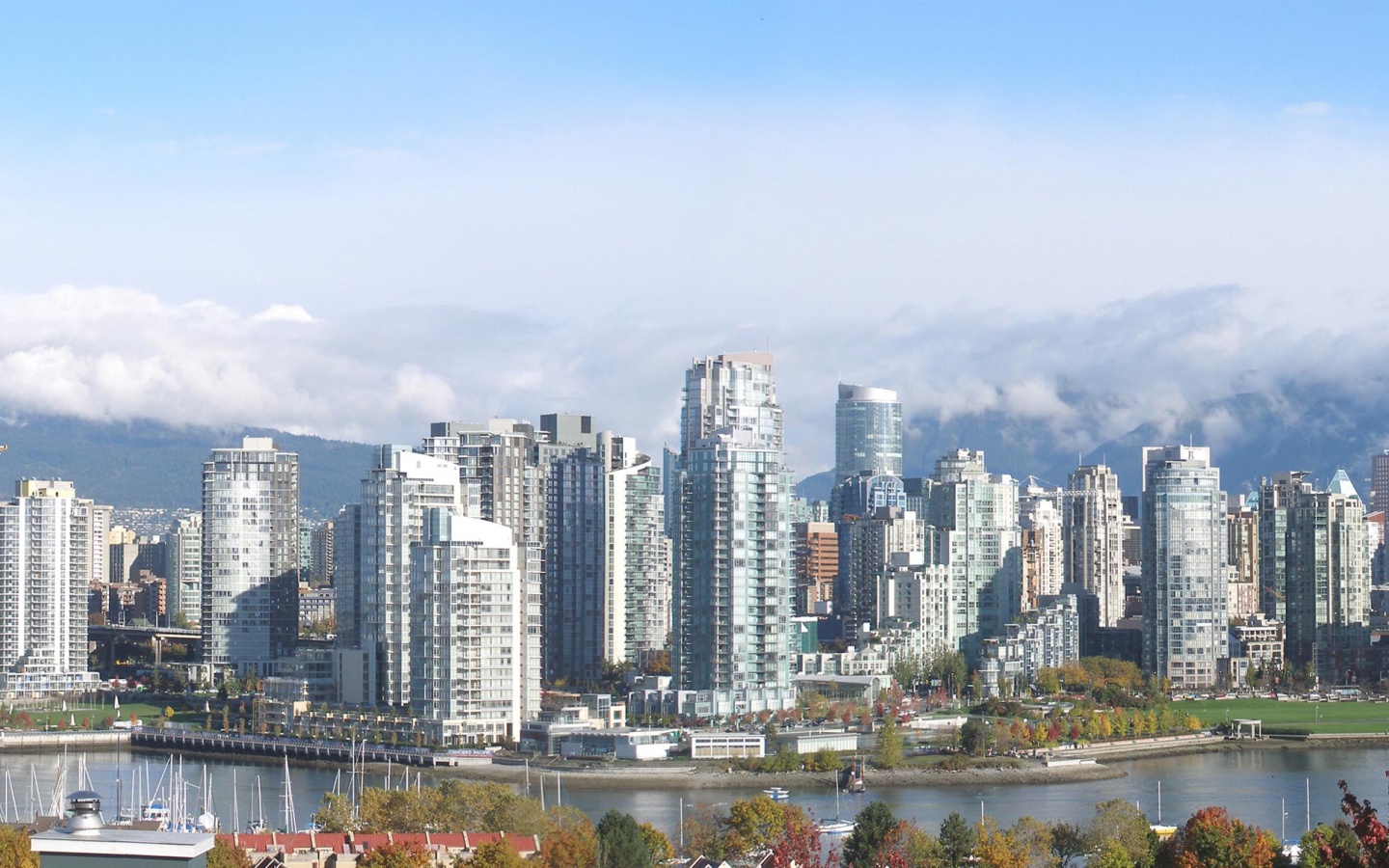 Панорама города обои