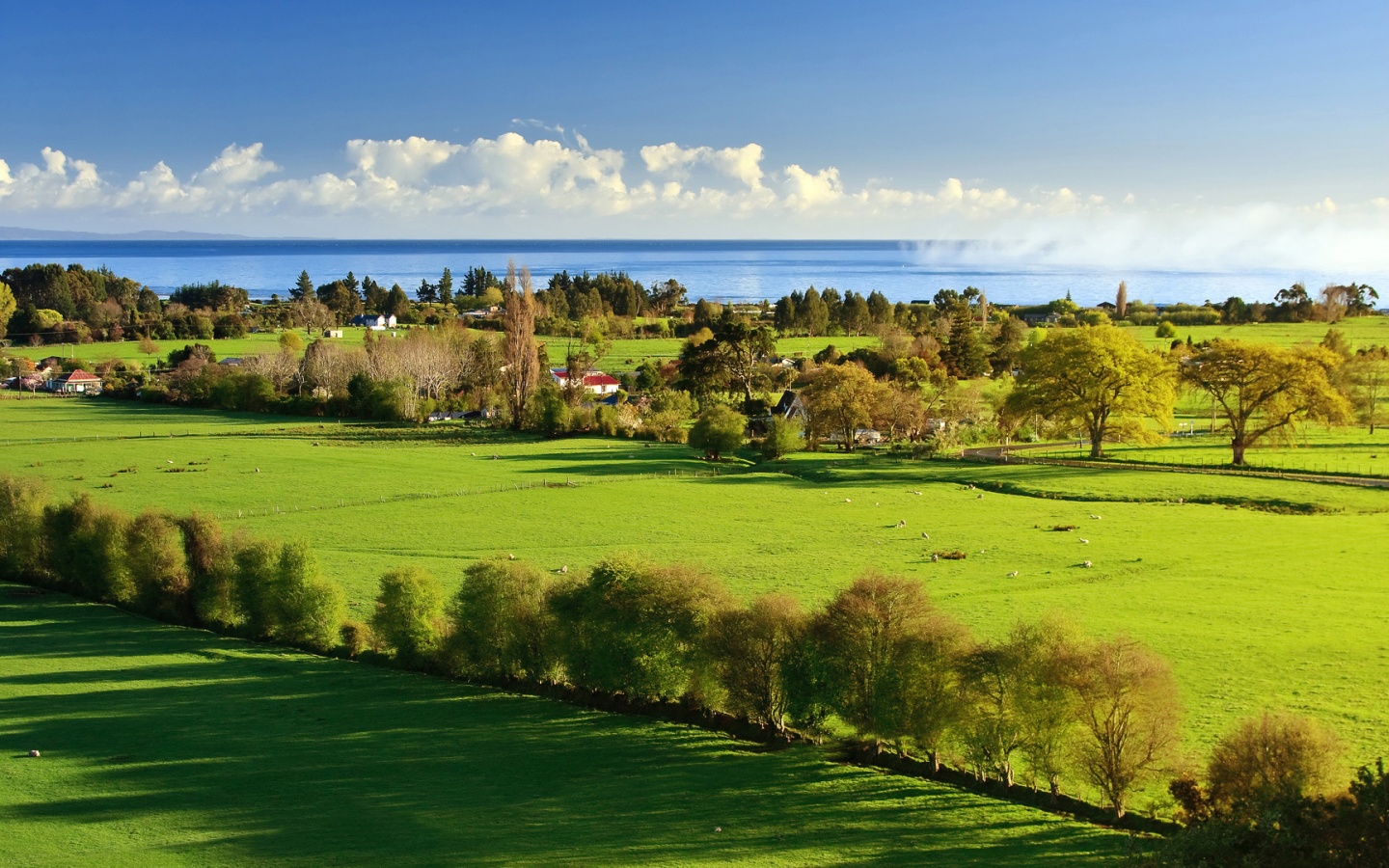 Сельская природа обои