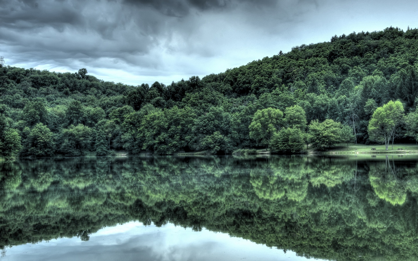 Лесной берег обои