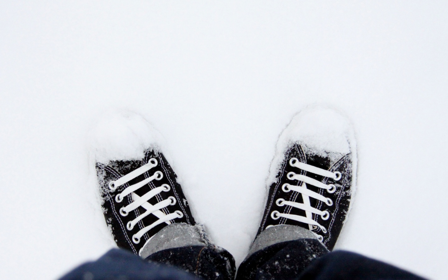 Дурак зимой в кедах обои