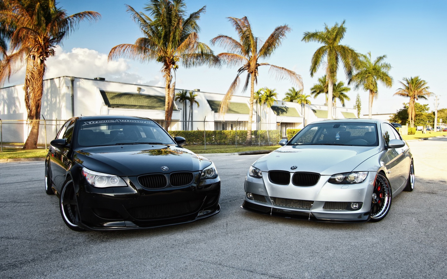 Две БМВ обои