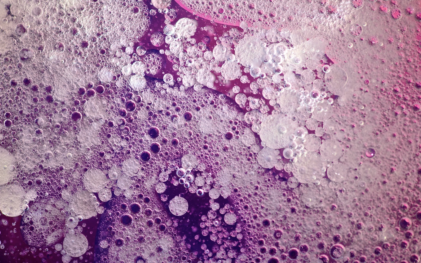 Реакция Вассермана в фиолетовых тонах обои