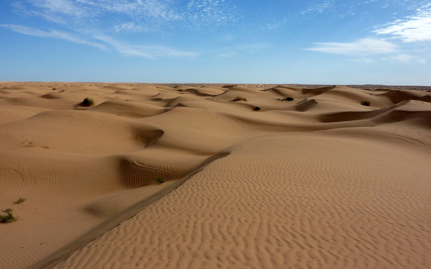Пустыня до самого горизонта обои