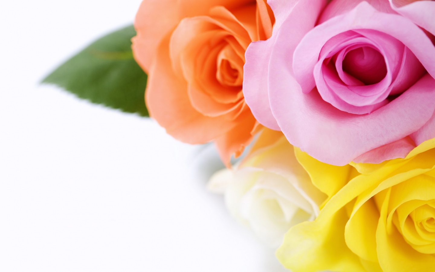 Букет разноцветных роз обои