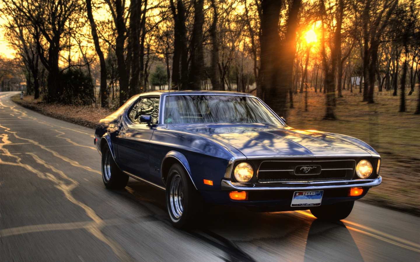 Мустанг обои