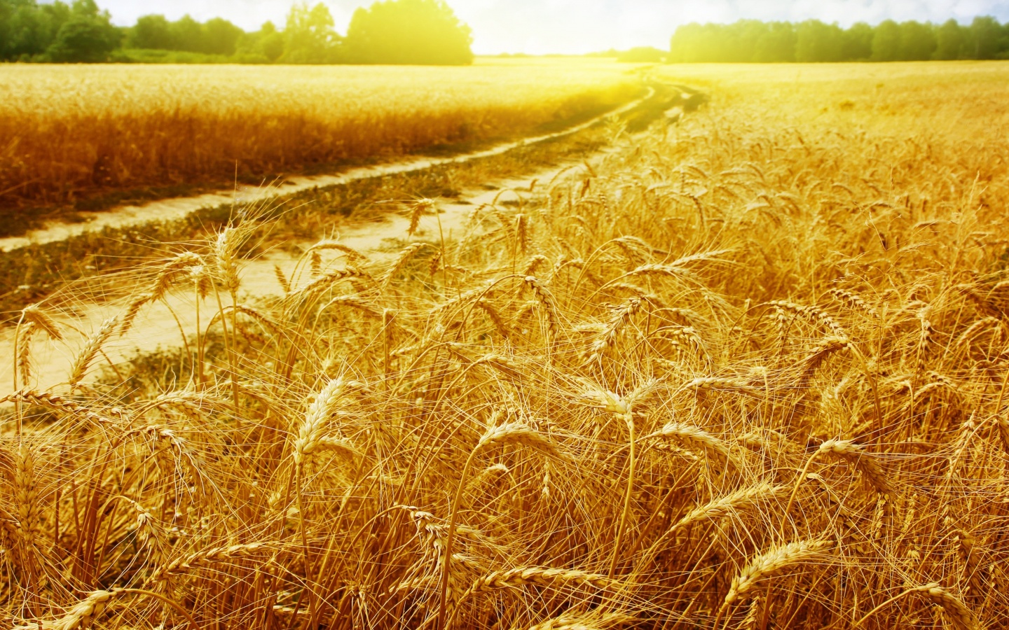 Речка среди поля обои