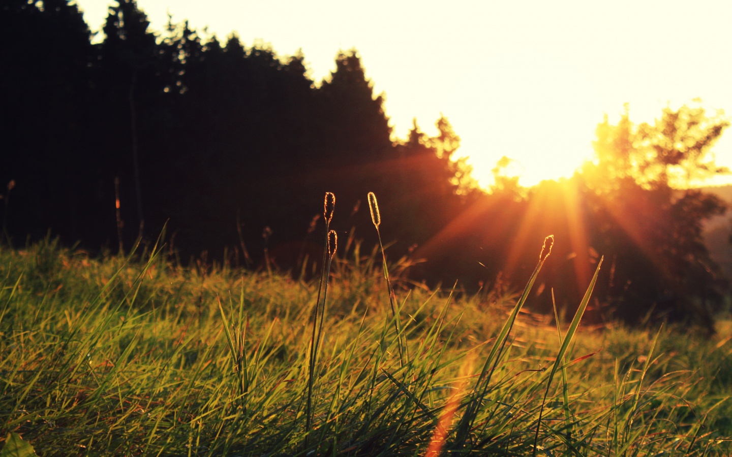 Красота природы обои