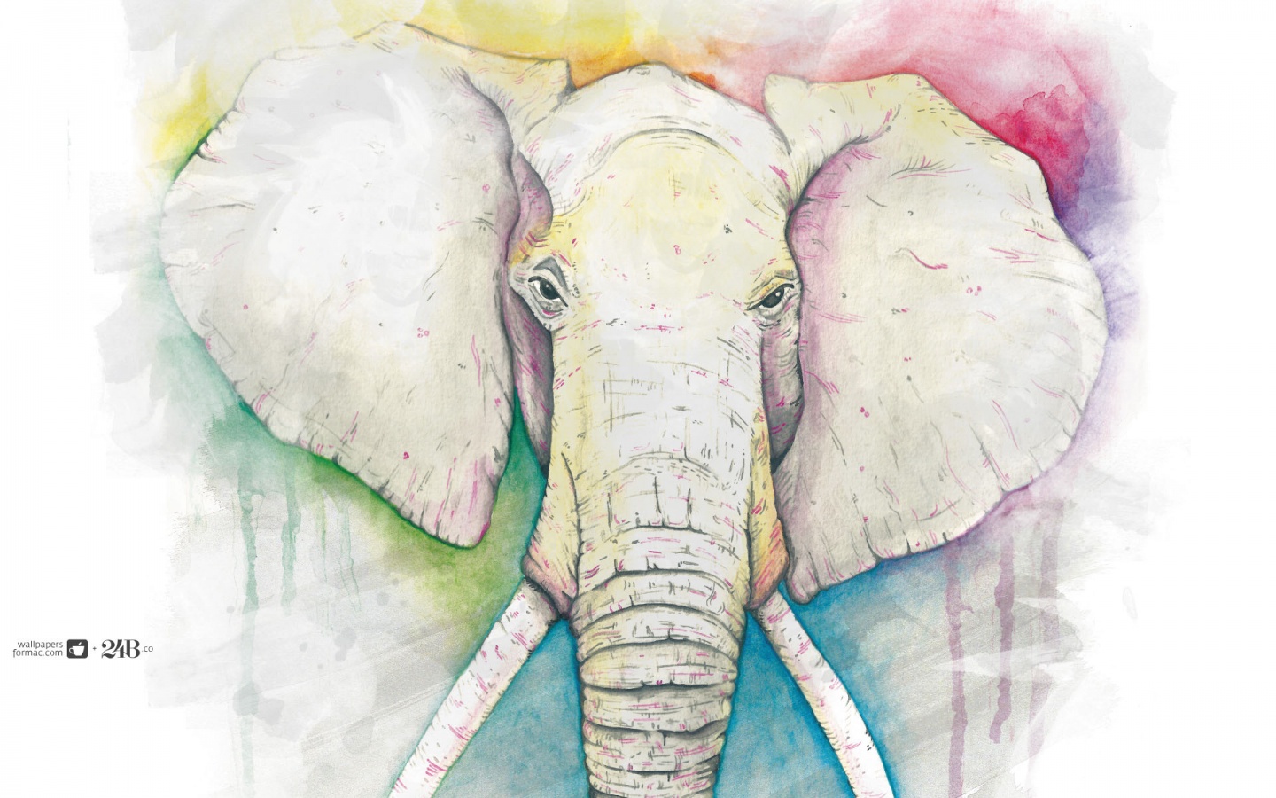 Слон обои