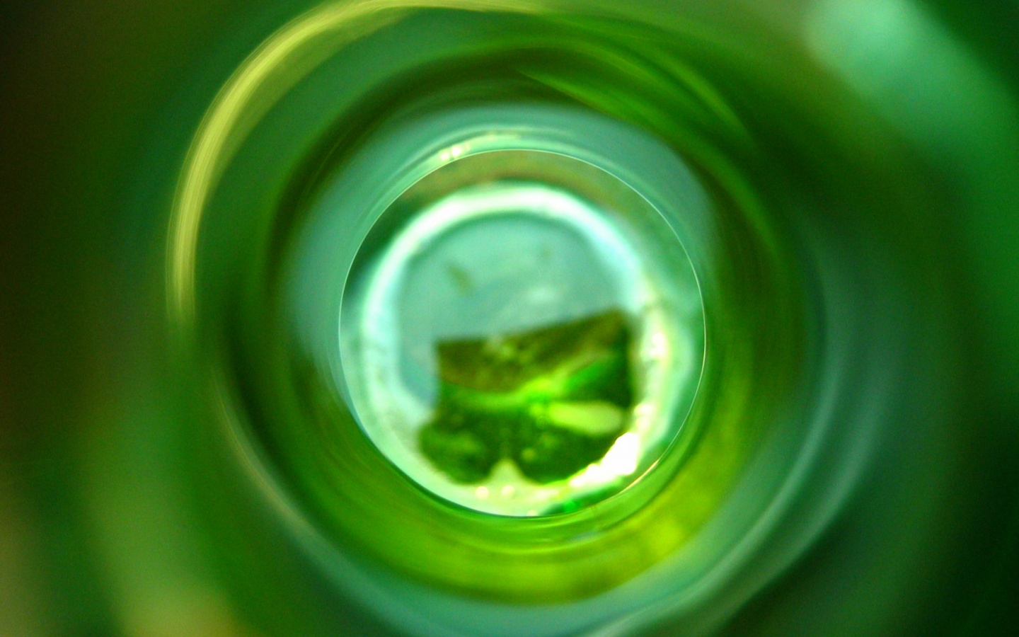 Зеленая бутылка обои