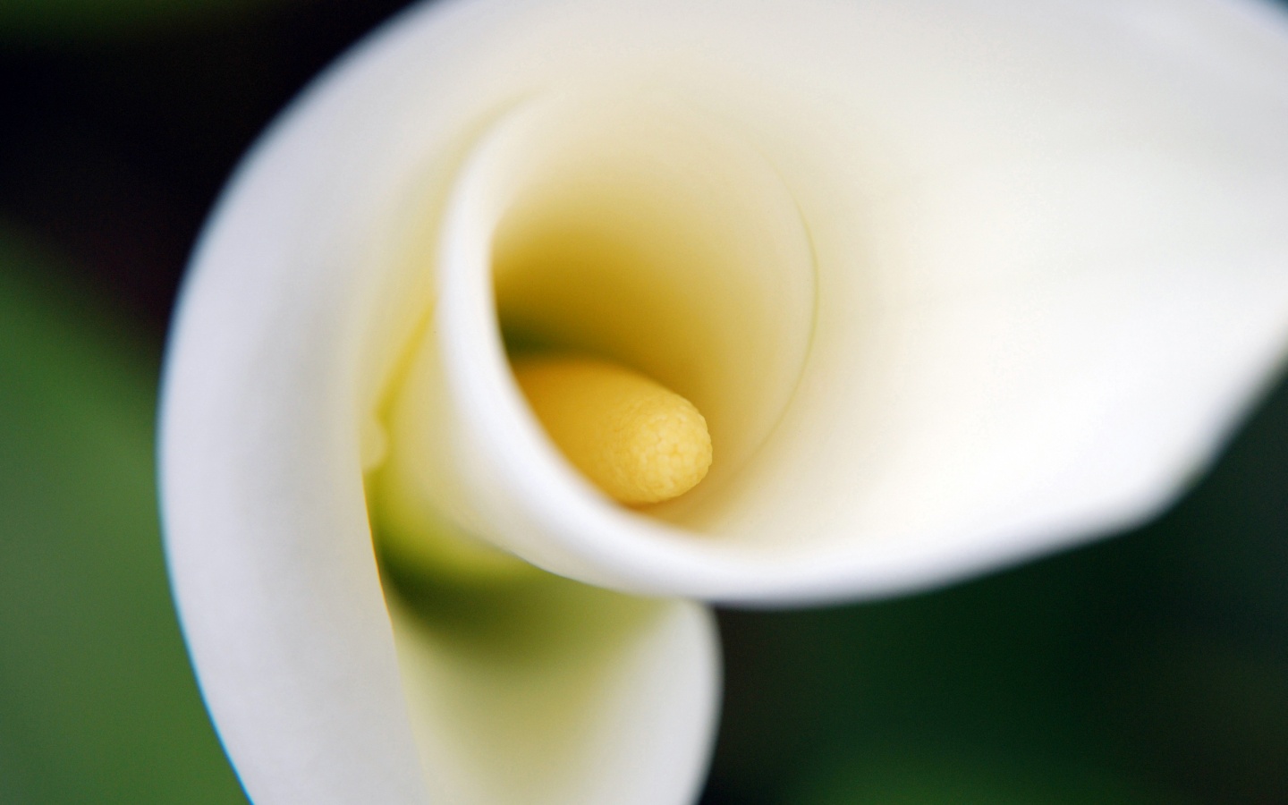 Спираль обои