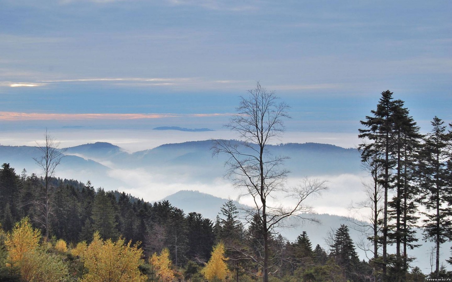Холмы в тумане обои