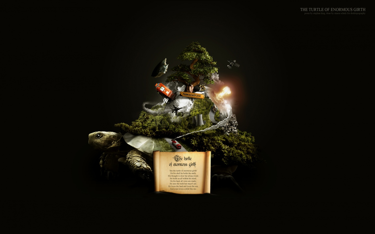 Огромная в обхвате черепаха обои