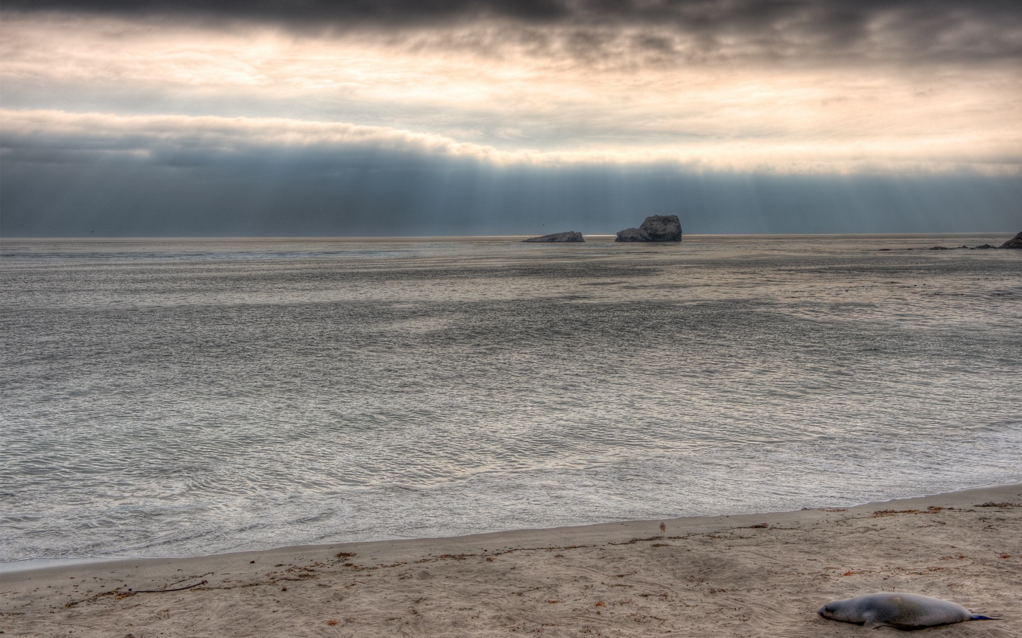 Пляж на фоне светящегосы неба обои