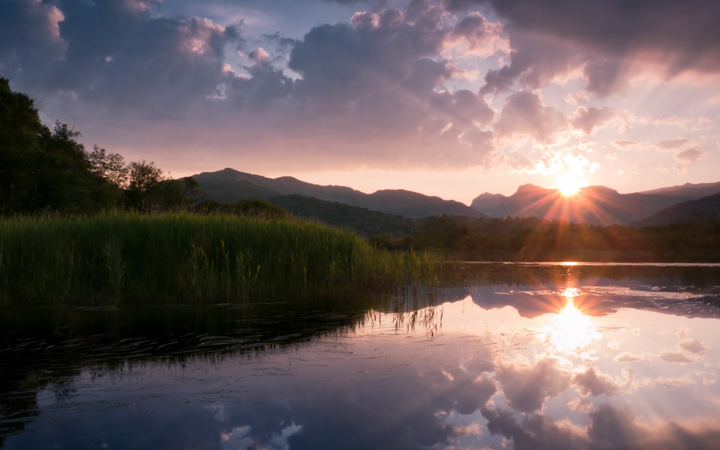 Закат за лесом обои