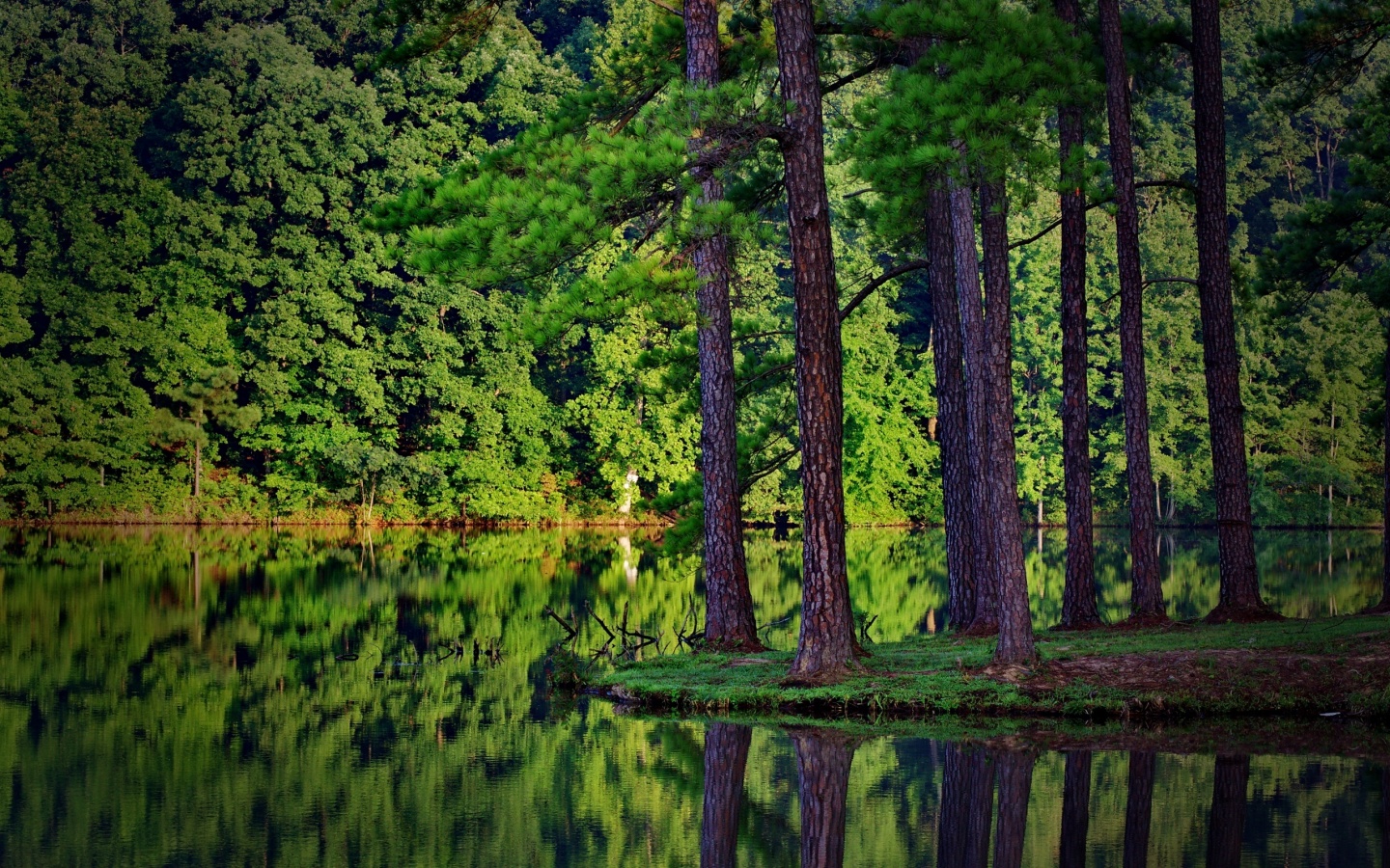Островок посреди озера обои