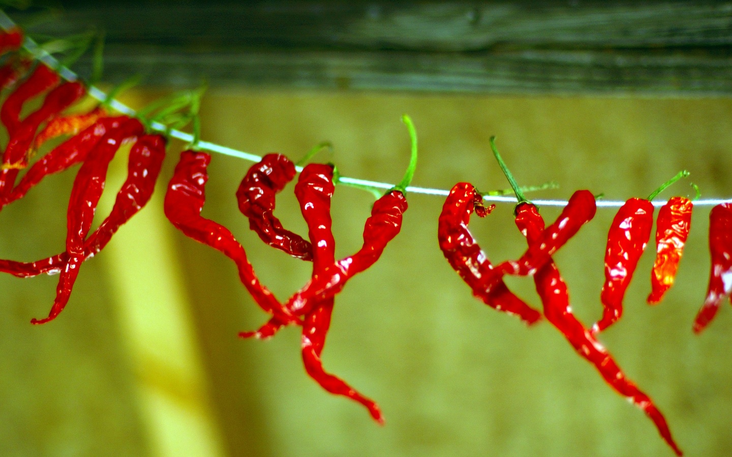 Перчики чили обои