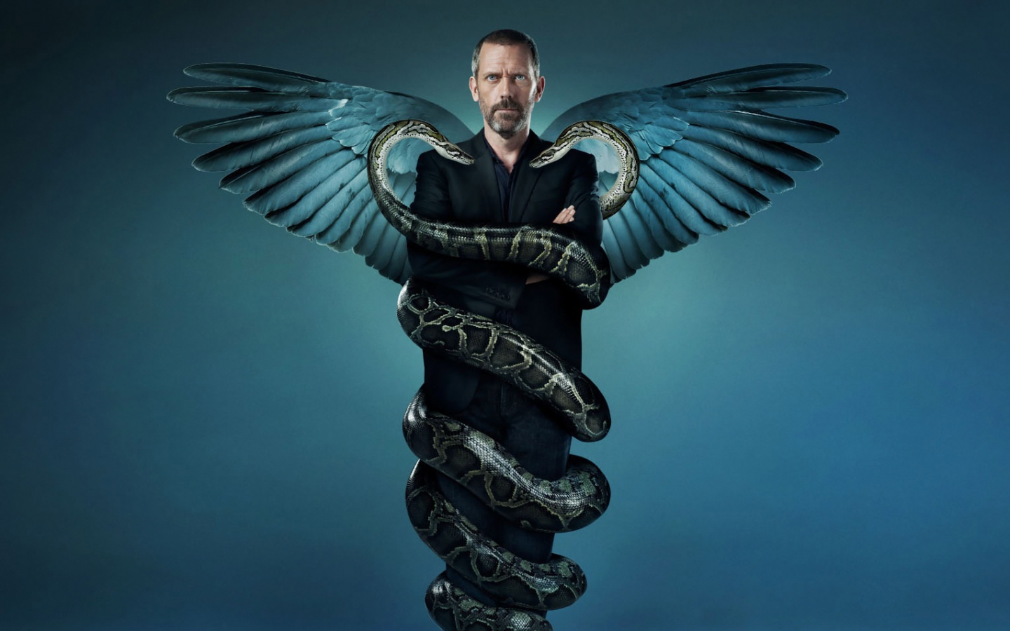 Заставка шестого сезона HOUSE M.D. обои