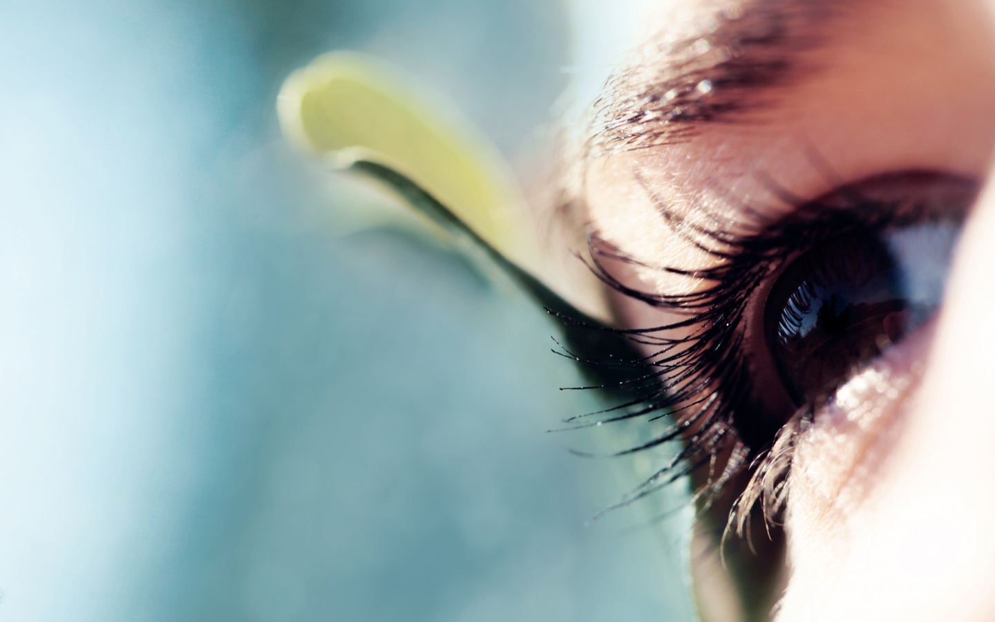 Взгляд обои