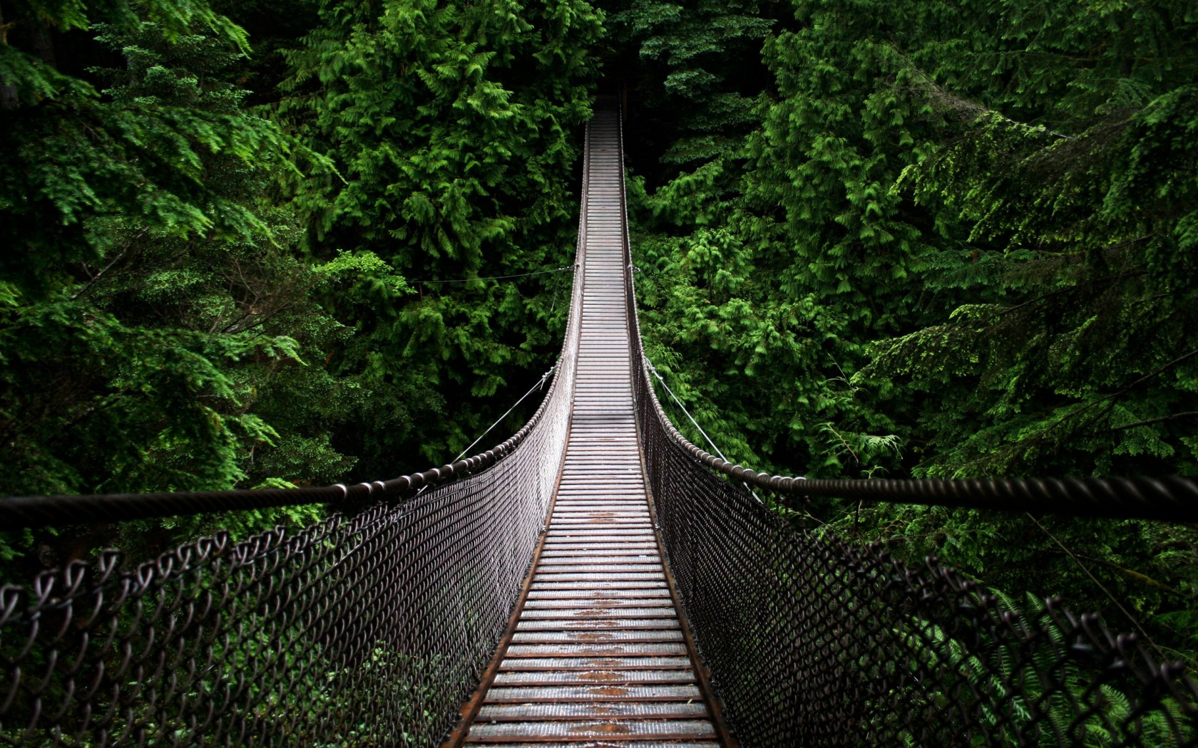 Канатный мостик обои