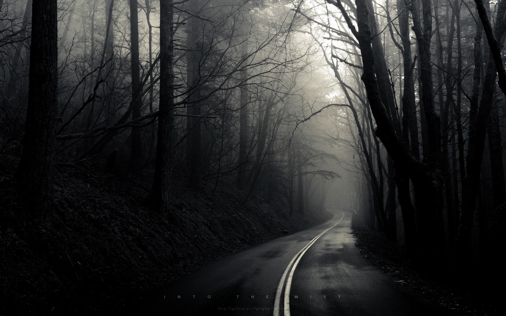 В туман обои