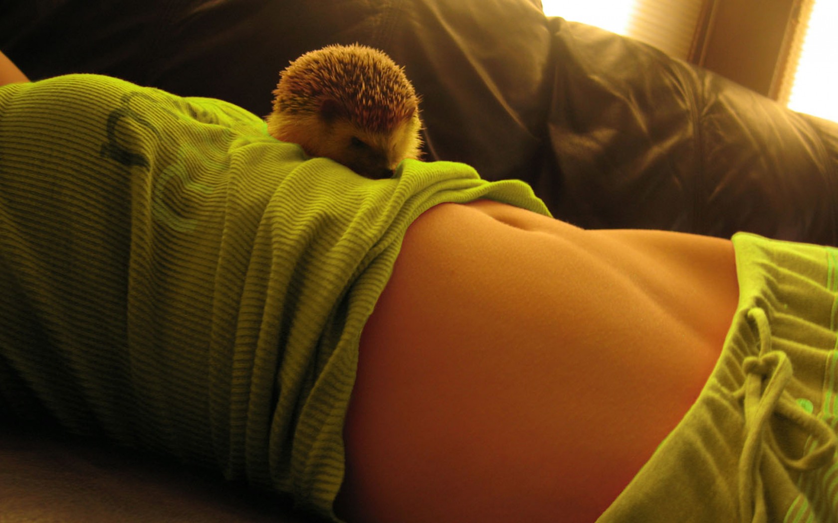 Девушка и ёжик обои