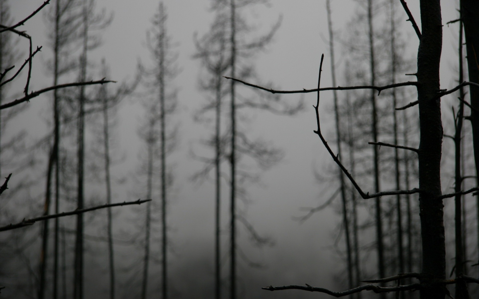 Безысходность обои