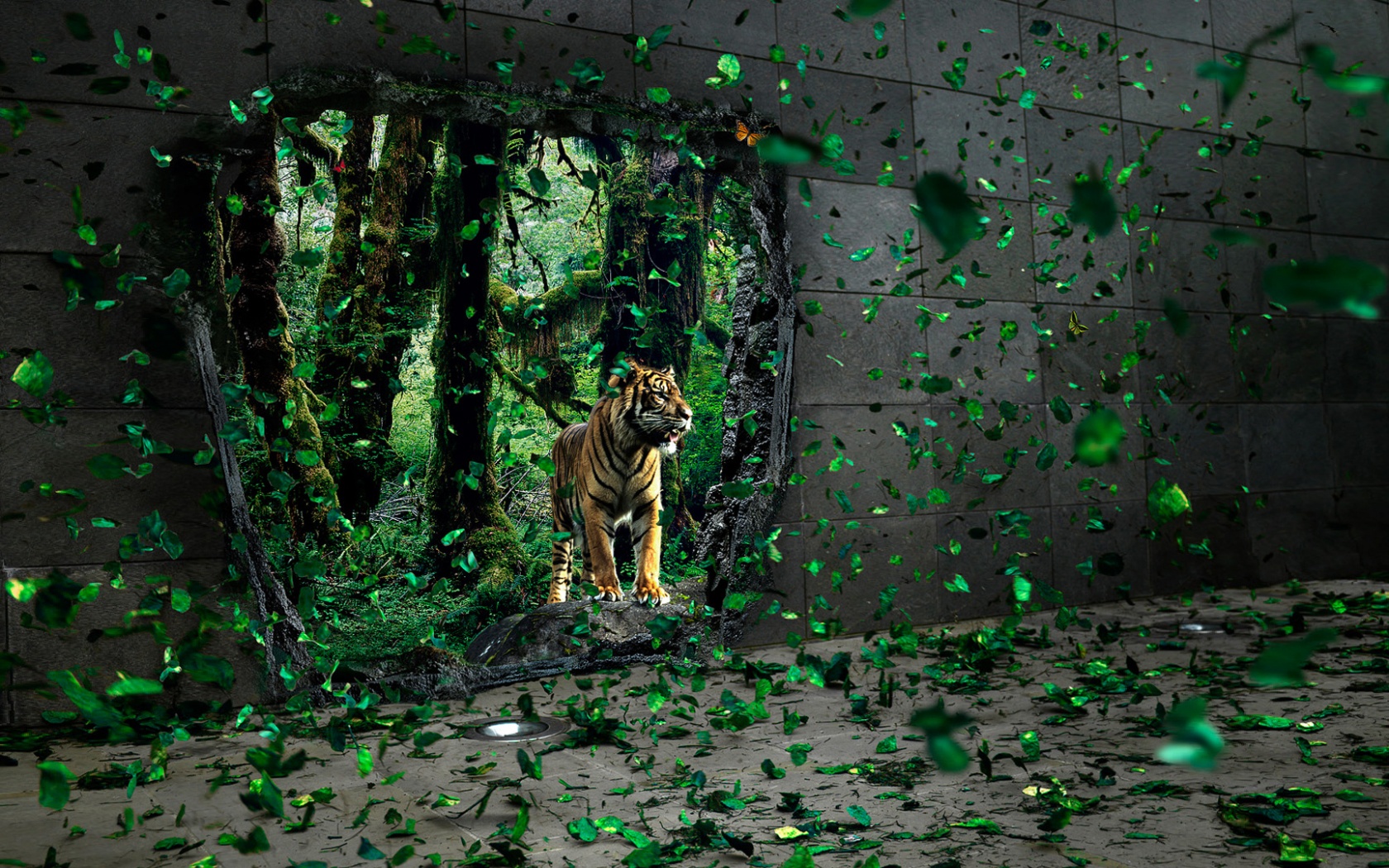 Портал в джунги обои