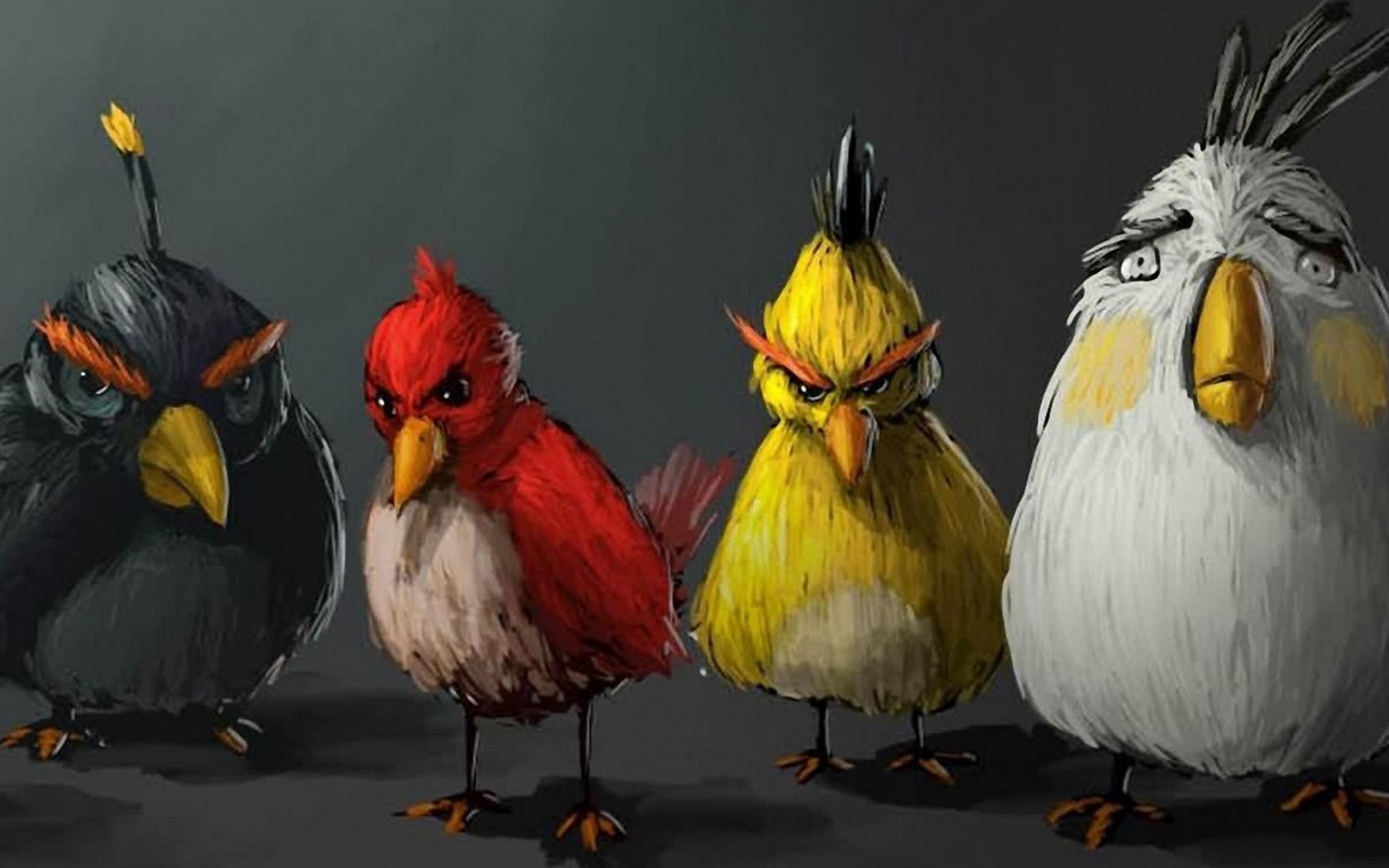 Злые птицы обои