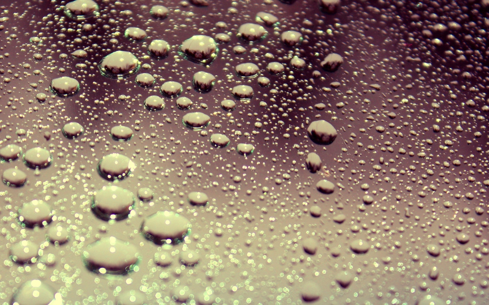 Капли воды на поверхности стекла обои