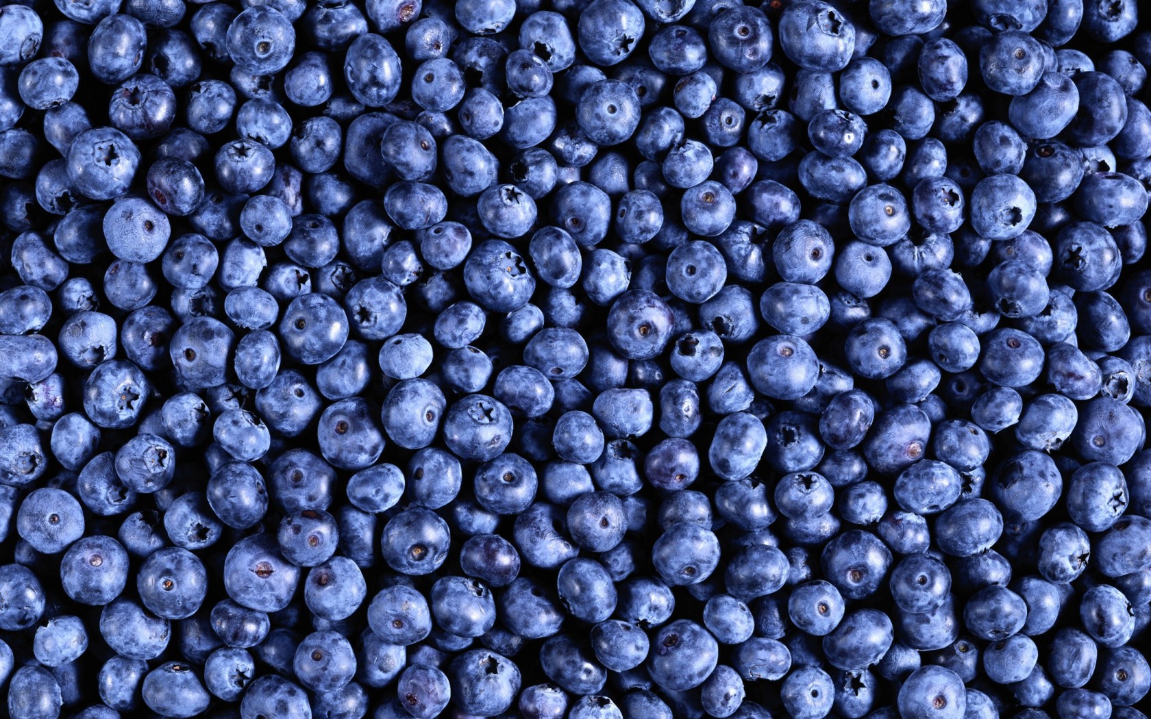 Черника обои