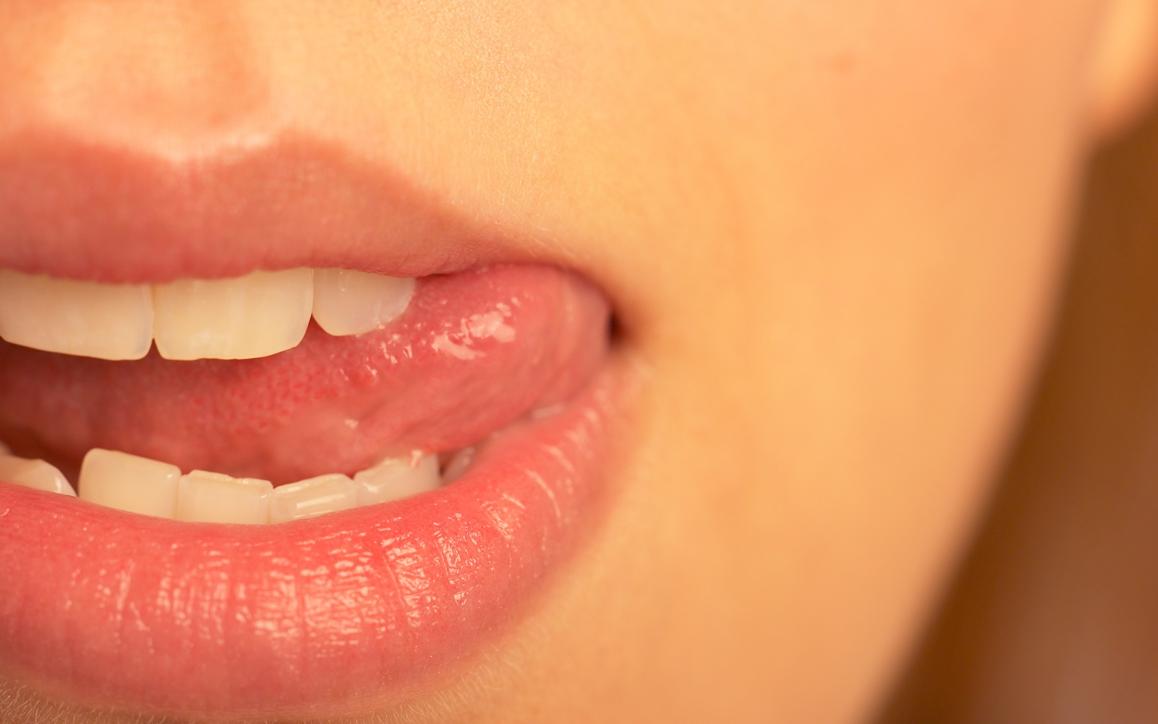 Сочные губки обои