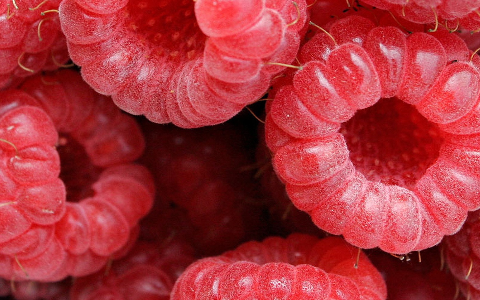 Малина обои