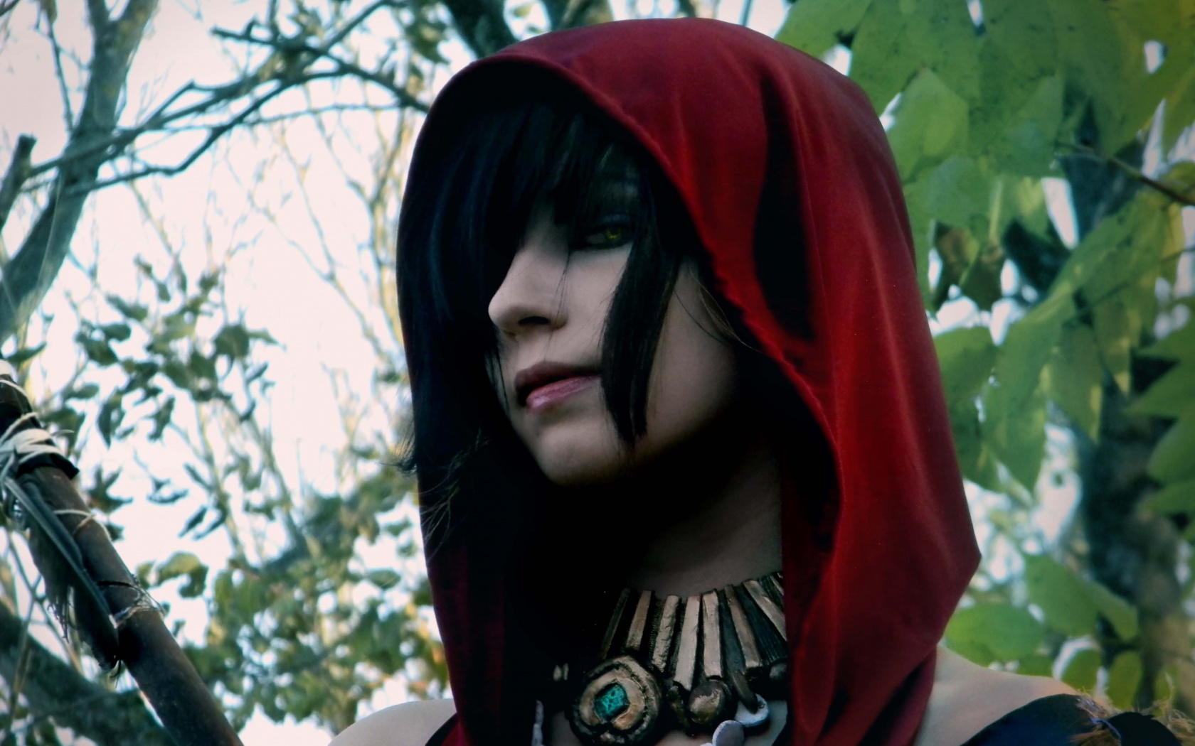 Косплей Морриган обои