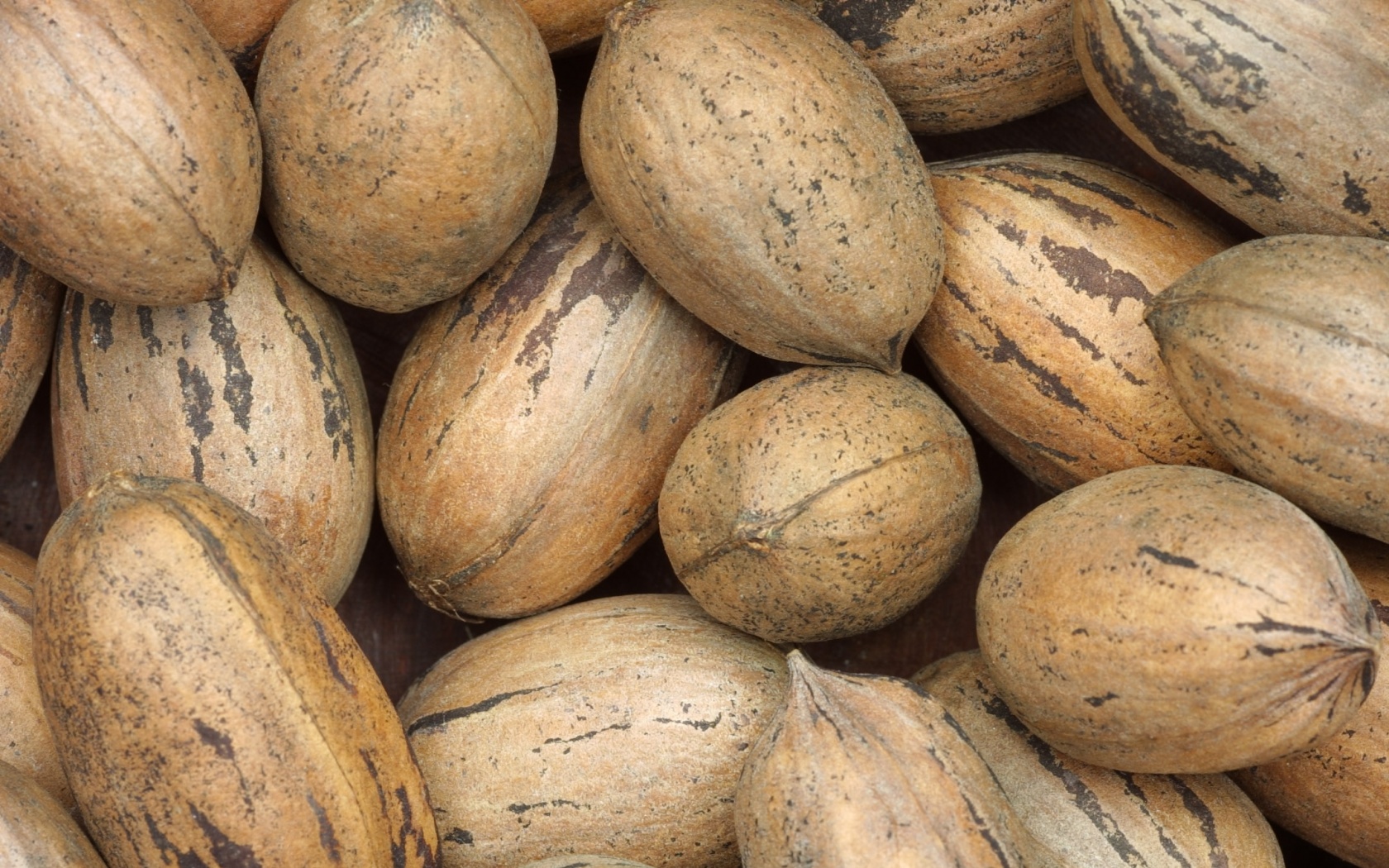 Грецкие орехи обои