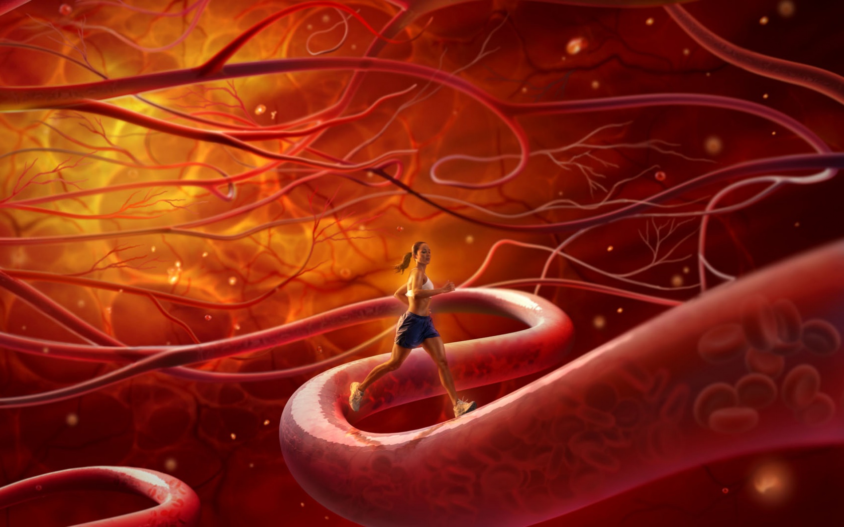 Бег крови обои